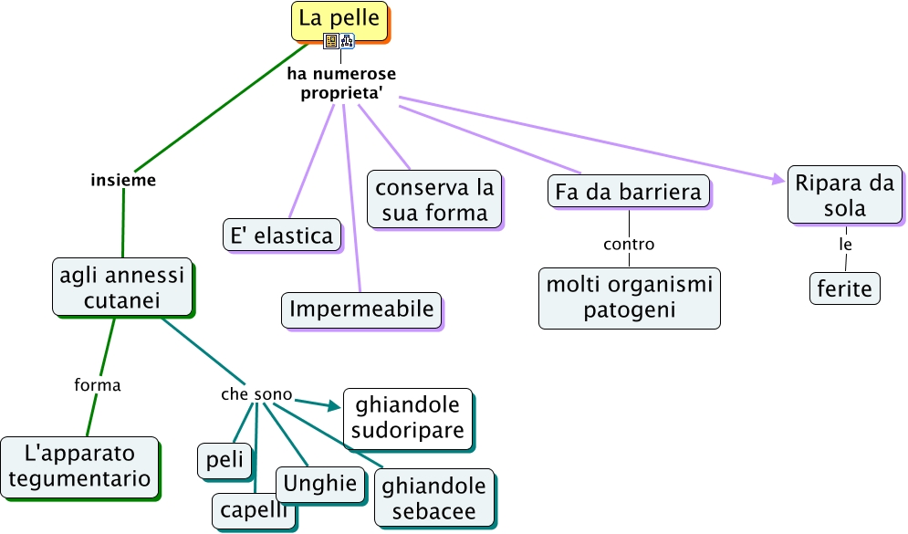 What Is The Meaning Of Pelle